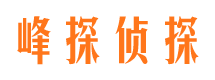 南岔市调查公司